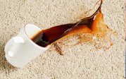 Professional Carpet Steam Cleaners